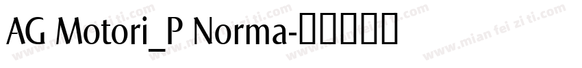 AG Motori_P Norma字体转换